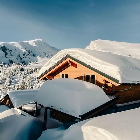 Heidi Chalets Falkert Heidialm - Chalets Bergwinter Patergassen المظهر الخارجي الصورة