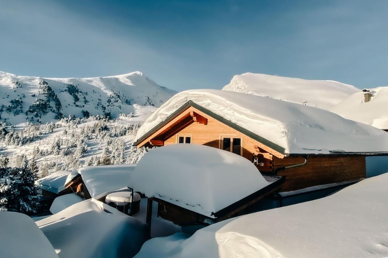 Heidi Chalets Falkert Heidialm - Chalets Bergwinter Patergassen المظهر الخارجي الصورة