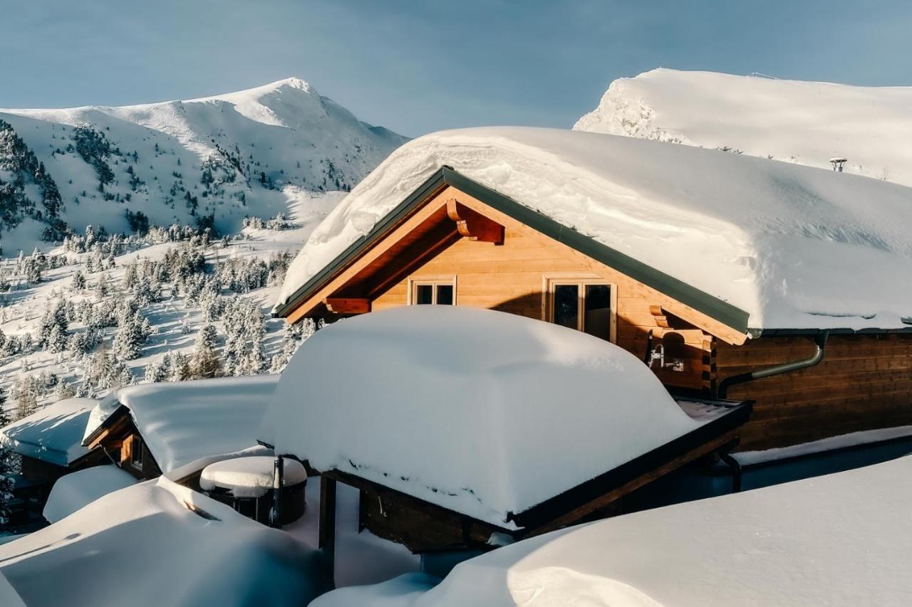 Heidi Chalets Falkert Heidialm - Chalets Bergwinter Patergassen المظهر الخارجي الصورة