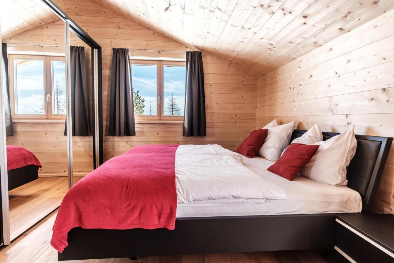 Heidi Chalets Falkert Heidialm - Chalets Bergwinter Patergassen المظهر الخارجي الصورة