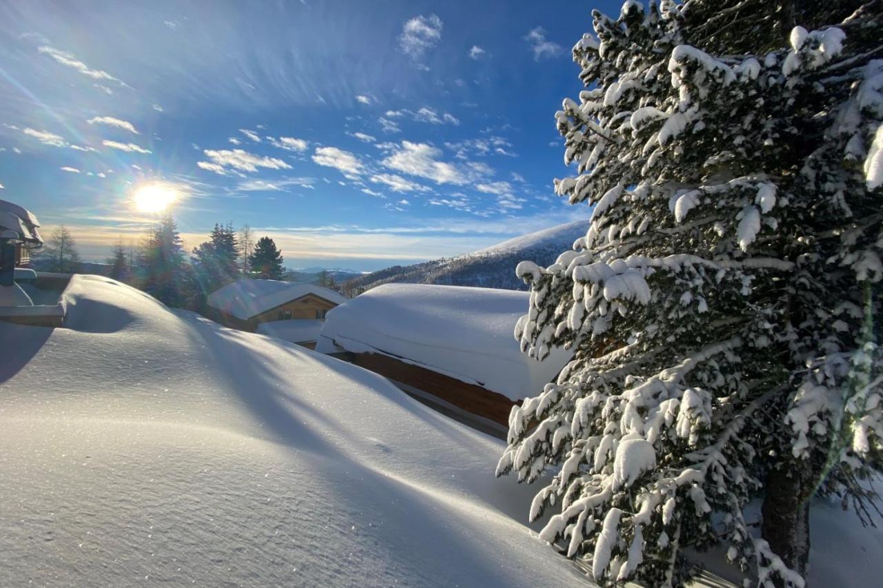 Heidi Chalets Falkert Heidialm - Chalets Bergwinter Patergassen المظهر الخارجي الصورة